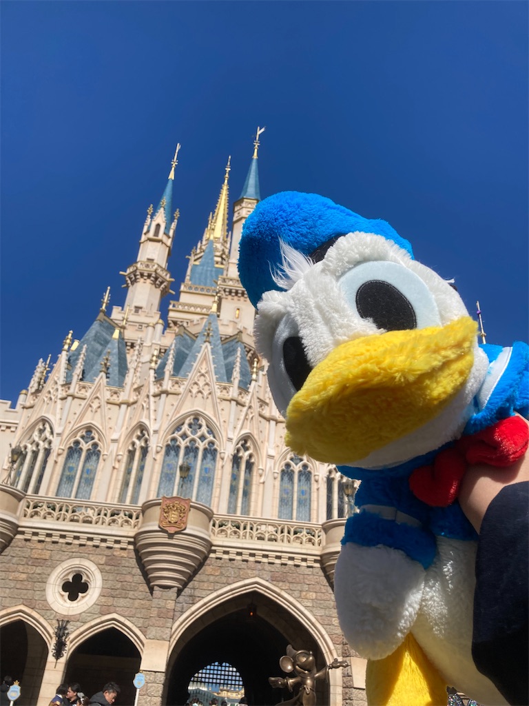 f:id:muriyada444:20251231132034j:image