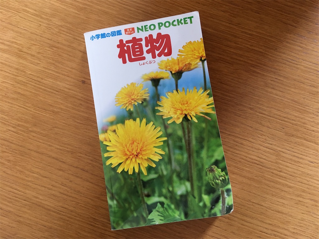 f:id:murmeln:20180327134607j:image f:id:murmeln:20180327134607j:image