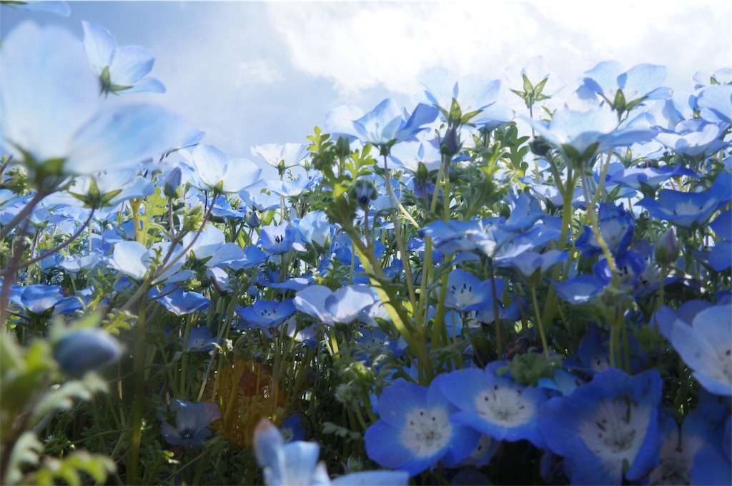 f:id:muro5866:20190429131604j:image f:id:muro5866:20190429131604j:image