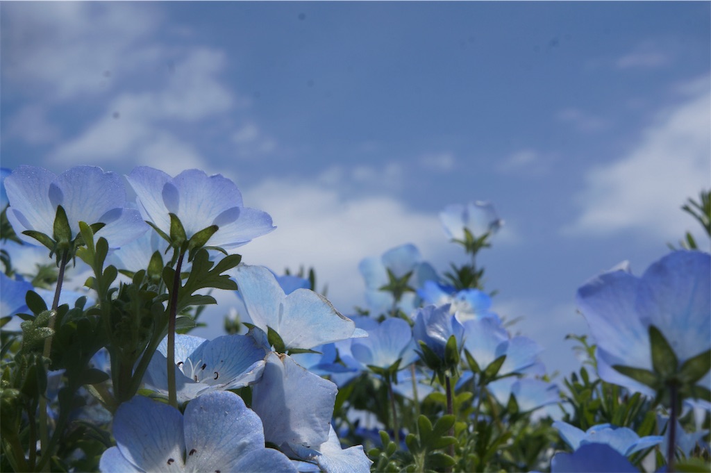 f:id:muro5866:20190429131610j:image f:id:muro5866:20190429131610j:image