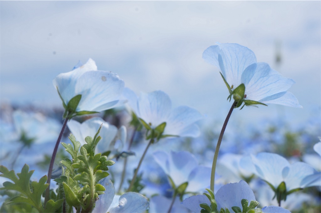 f:id:muro5866:20190429131622j:image f:id:muro5866:20190429131622j:image