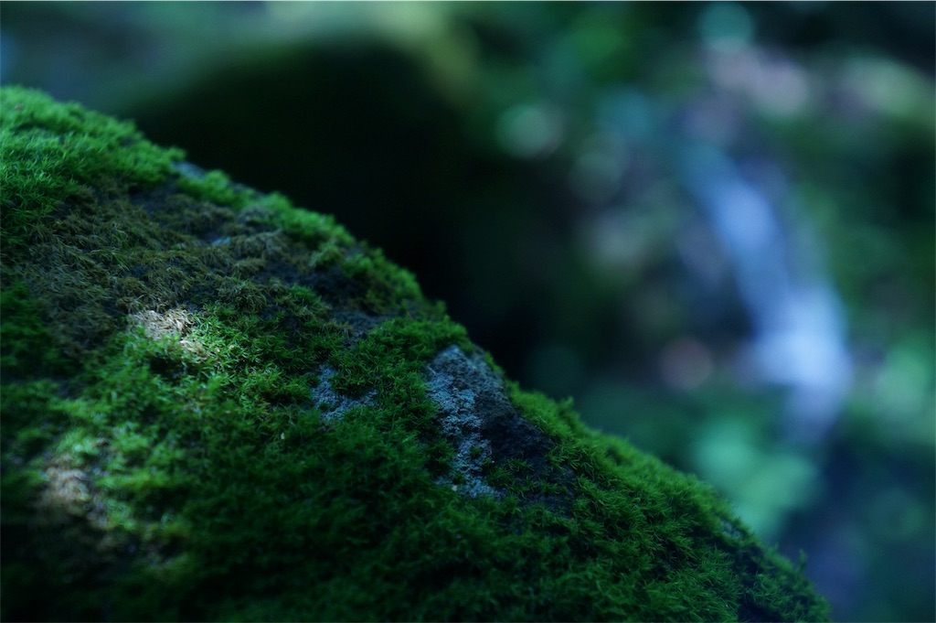 f:id:muro5866:20190819073051j:image f:id:muro5866:20190819073051j:image