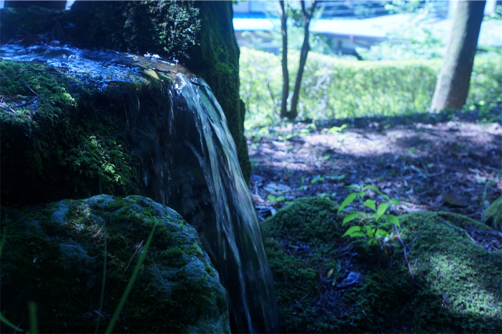 f:id:muro5866:20190819073125j:image f:id:muro5866:20190819073125j:image