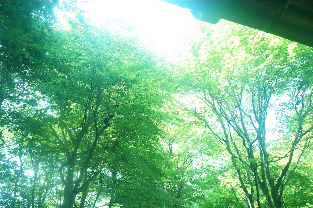 f:id:muro5866:20190819073130j:image f:id:muro5866:20190819073130j:image