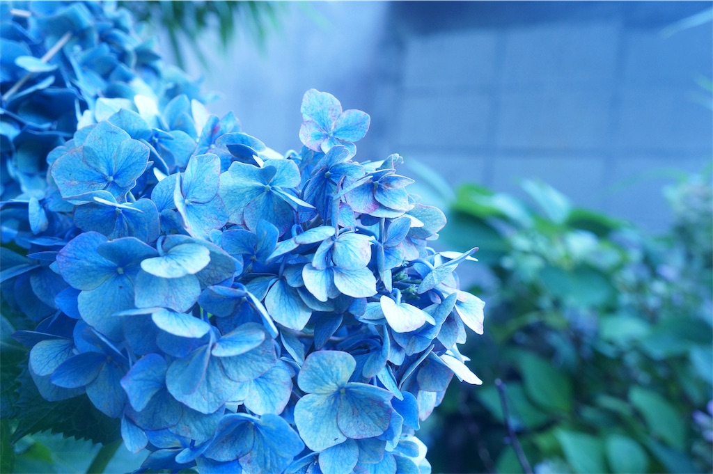 f:id:muro5866:20190819073152j:image f:id:muro5866:20190819073152j:image