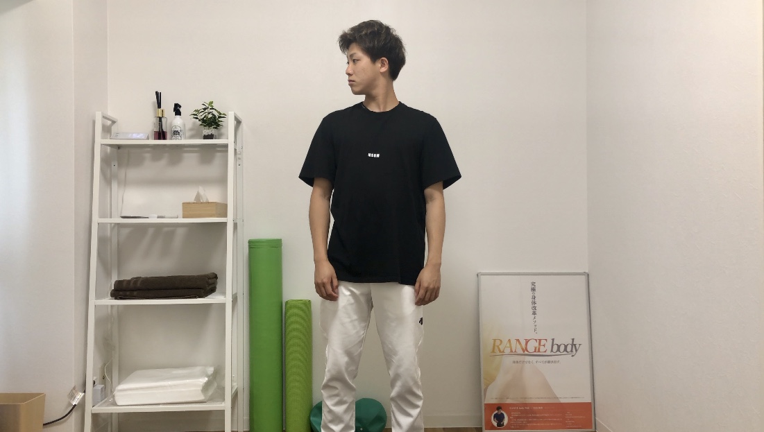 f:id:murochan:20190725144407j:plain f:id:murochan:20190725144407j:plain
