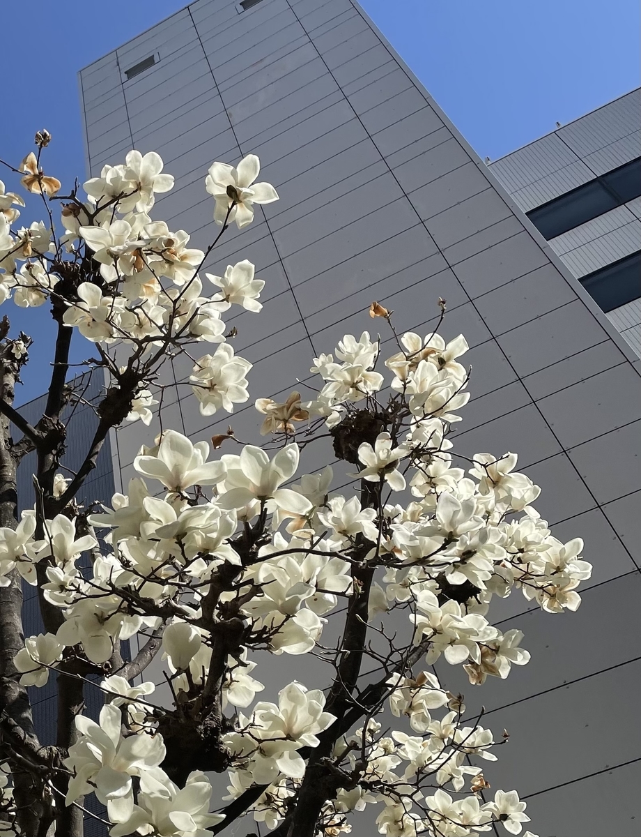 f:id:murokids:20210313094909j:plain