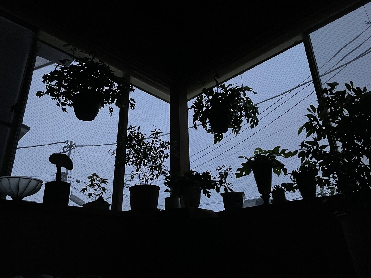 f:id:murokids:20210816072930j:plain