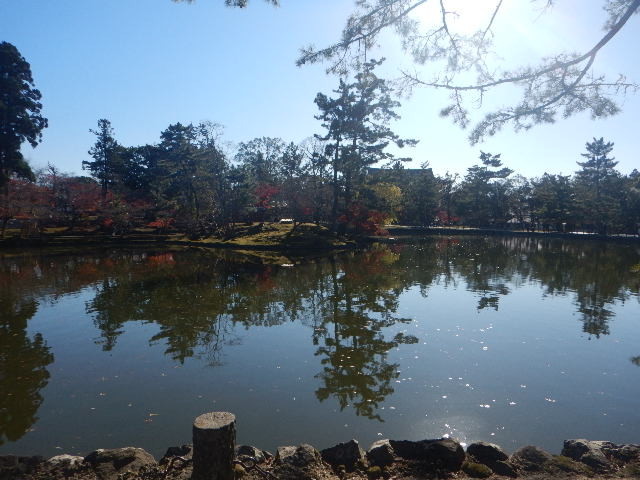 f:id:muroyan:20201206130706j:plain