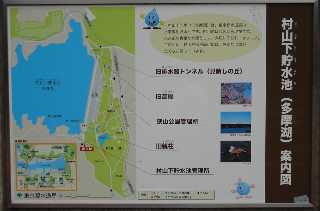 多摩湖