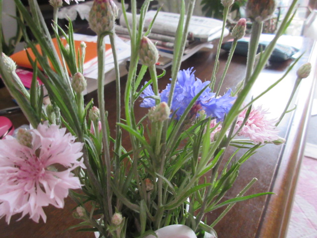 f:id:mursakisikibu:20210618092148j:plain