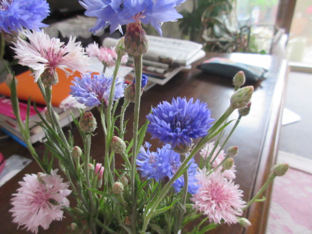 f:id:mursakisikibu:20210618092225j:plain