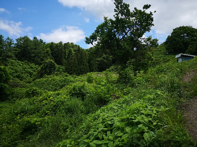 f:id:musan_tr_gh:20200621161831j:image f:id:musan_tr_gh:20200621161831j:image