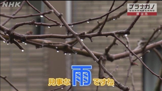 f:id:musan_tr_gh:20220415145108j:image