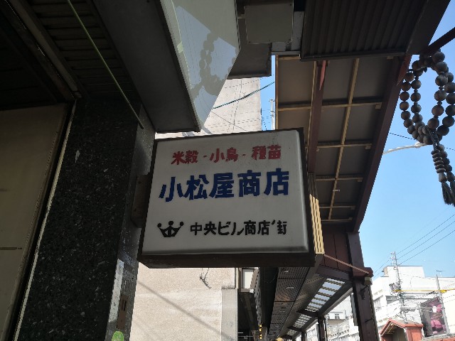 f:id:musan_tr_gh:20220602151908j:image