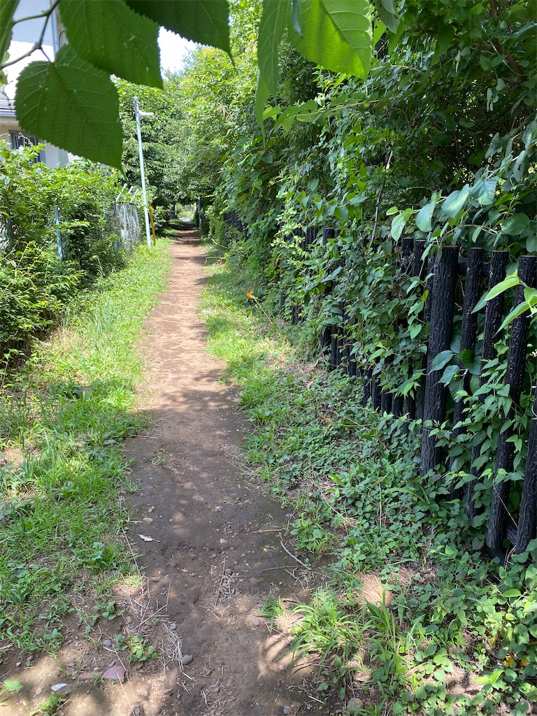 f:id:musashino007:20230709210110j:image