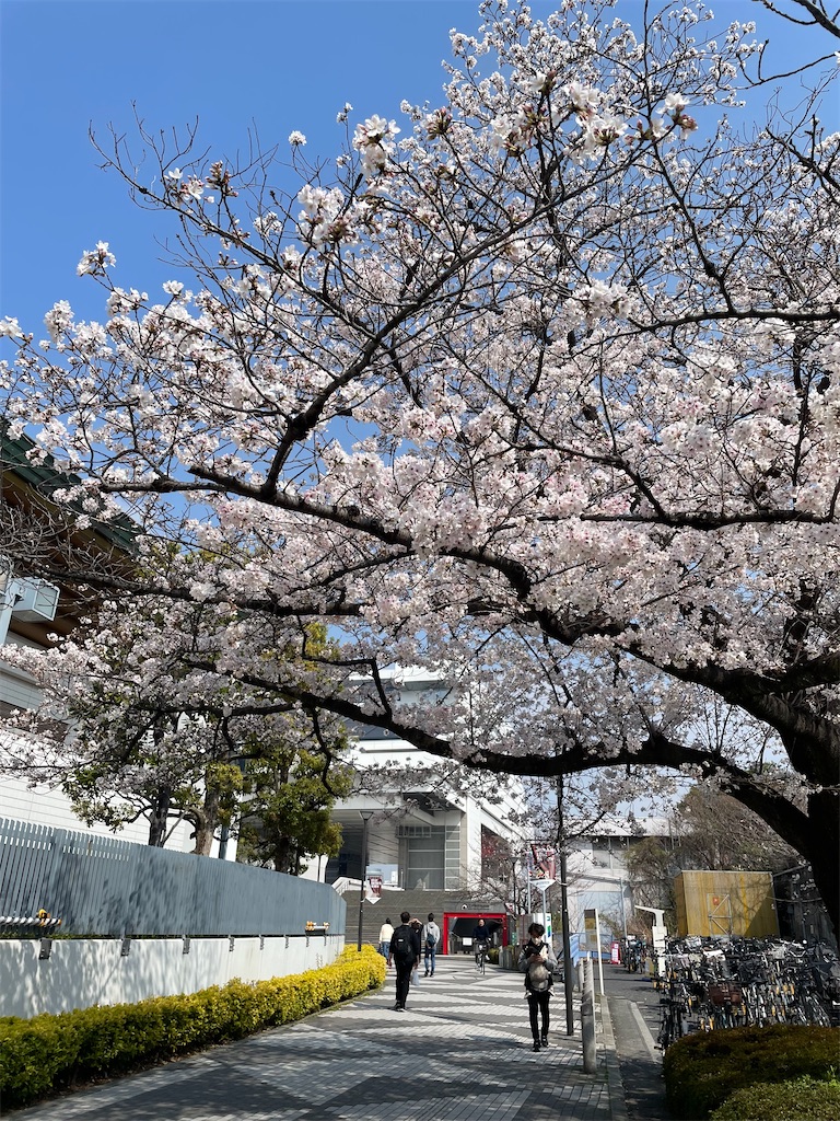 f:id:musashino007:20260404154819j:image