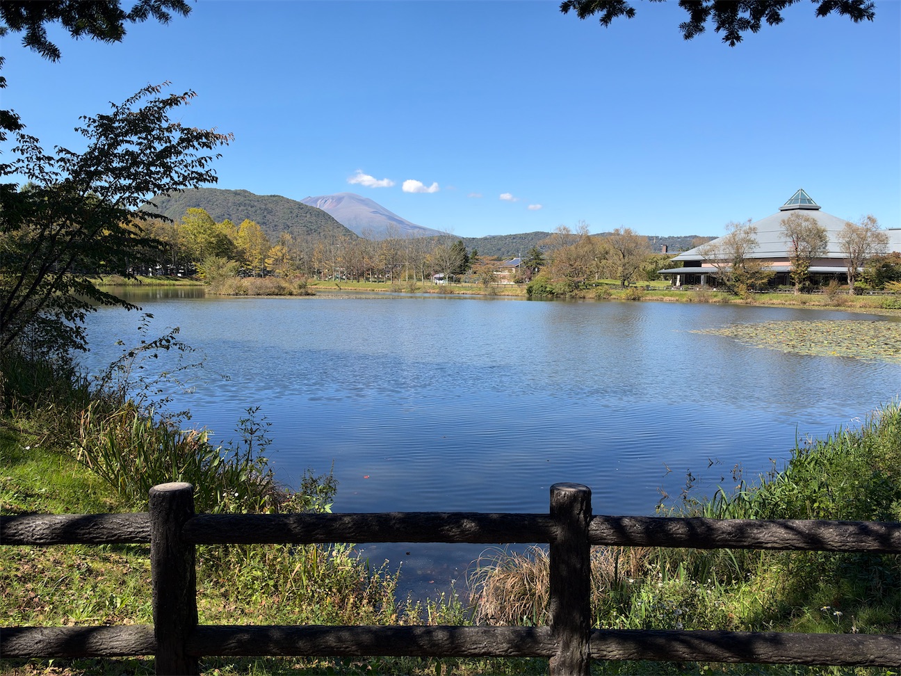 f:id:musashino007:20261012064440j:image