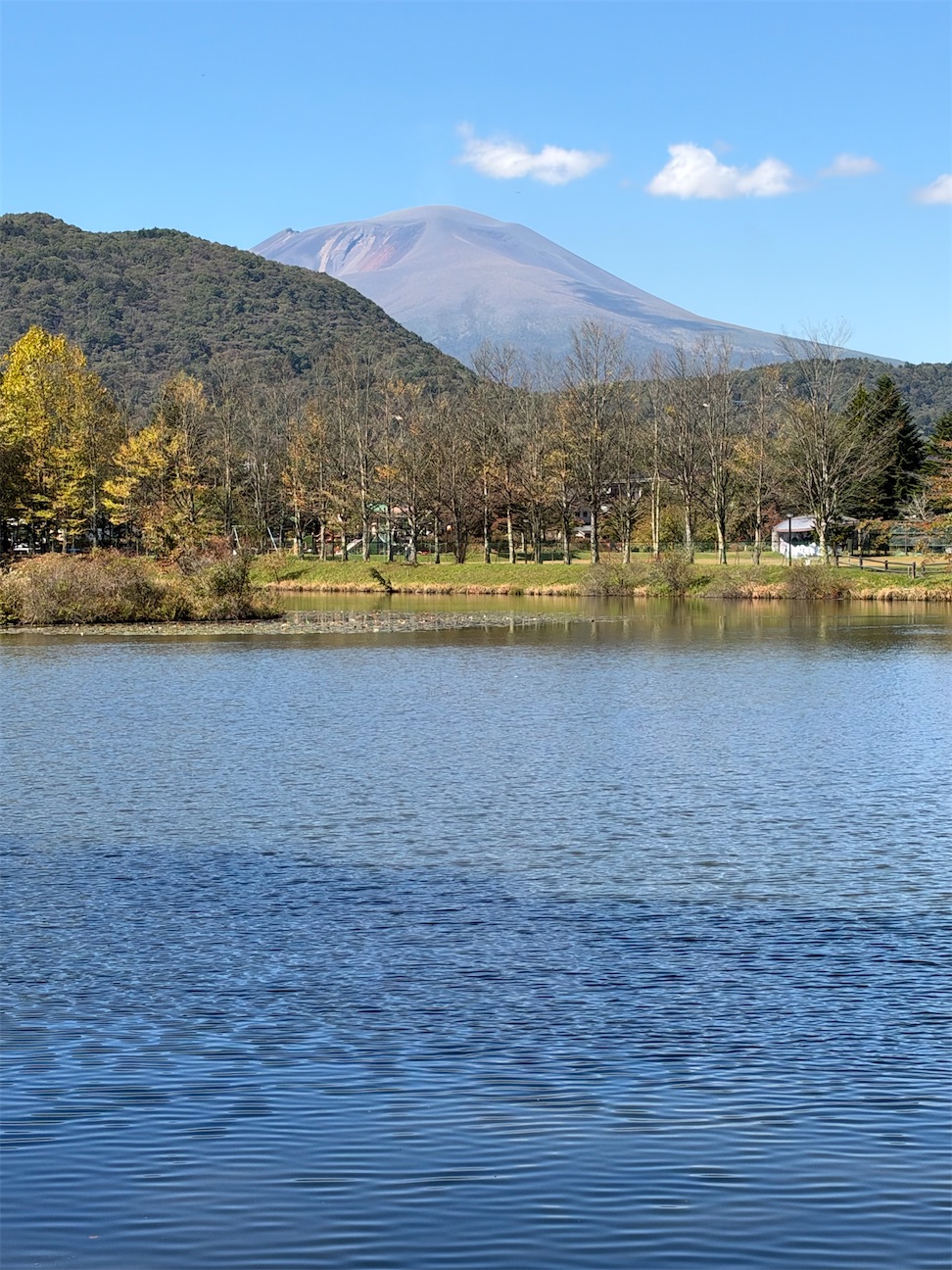 f:id:musashino007:20261012071355j:image