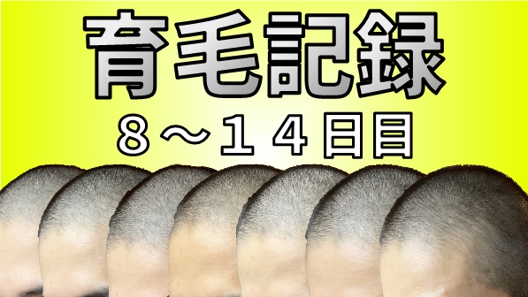 f:id:musashiofficial:20210513212136j:plain