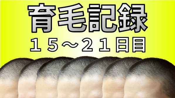 f:id:musashiofficial:20210519181732j:plain