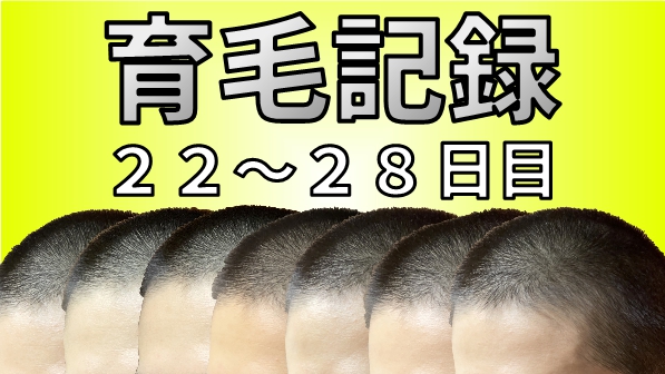 f:id:musashiofficial:20210526142052j:plain