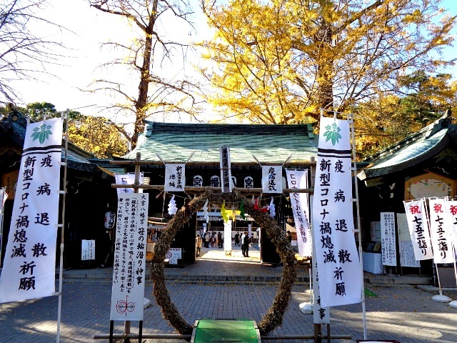 f:id:musasi_htn:20201128132113j:plain