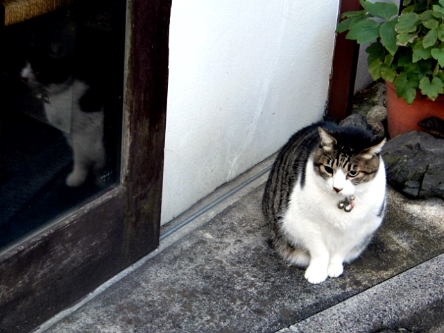 f:id:musasi_htn:20201206142057j:plain