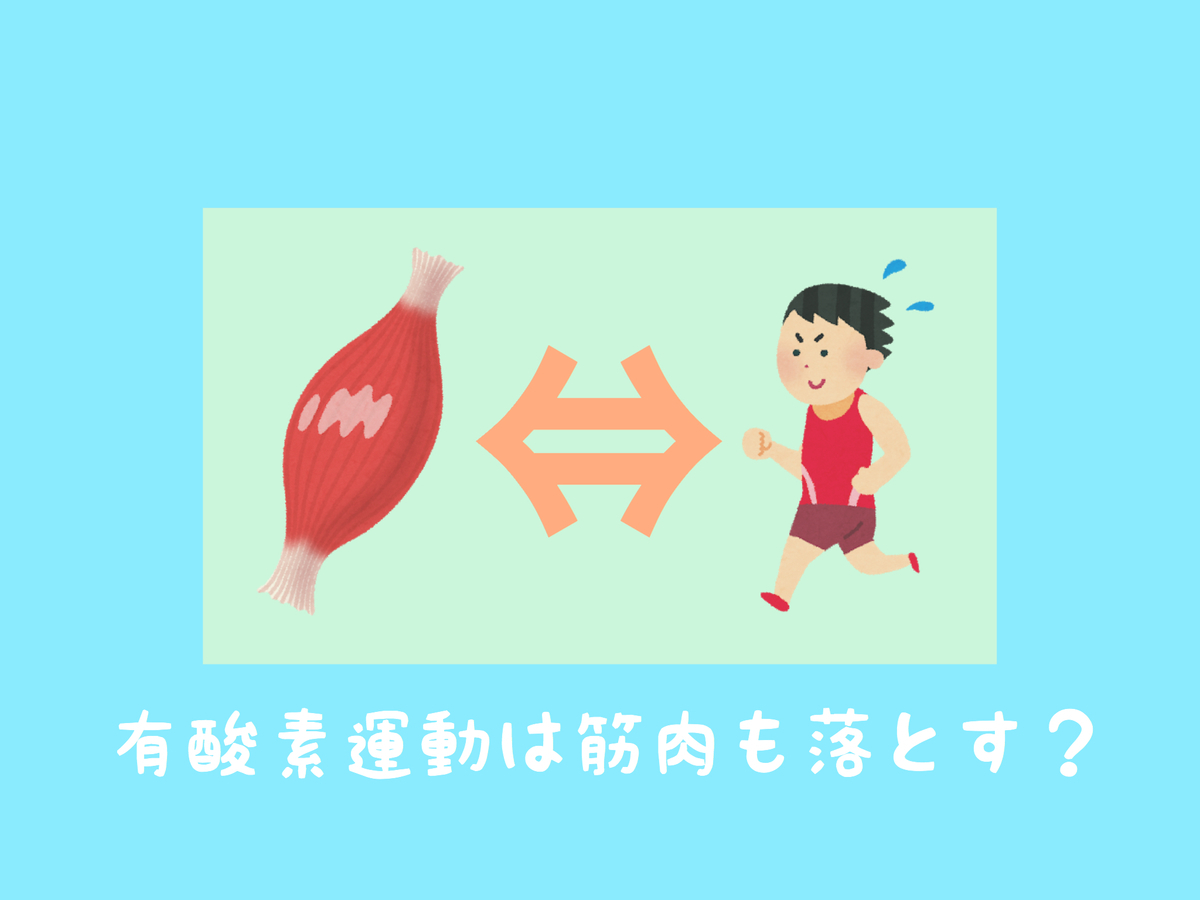 有酸素運動で筋肉は落ちる