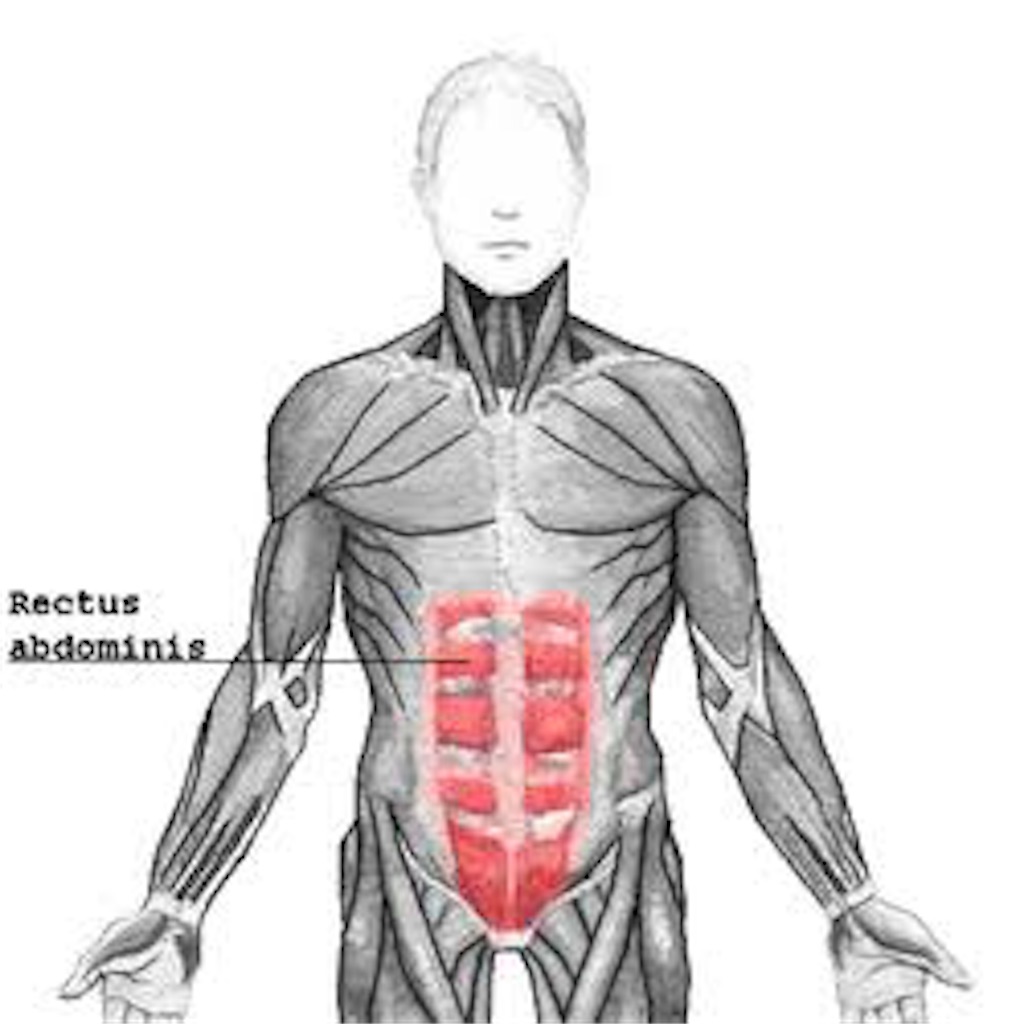 f:id:muscle1046:20180629224312j:image