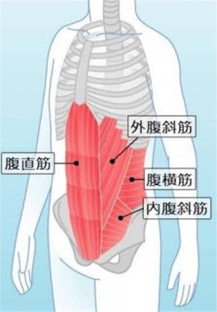 f:id:muscle1046:20180629224406j:image