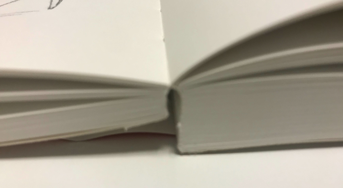 f:id:muscle14106:20210124153605j:plain