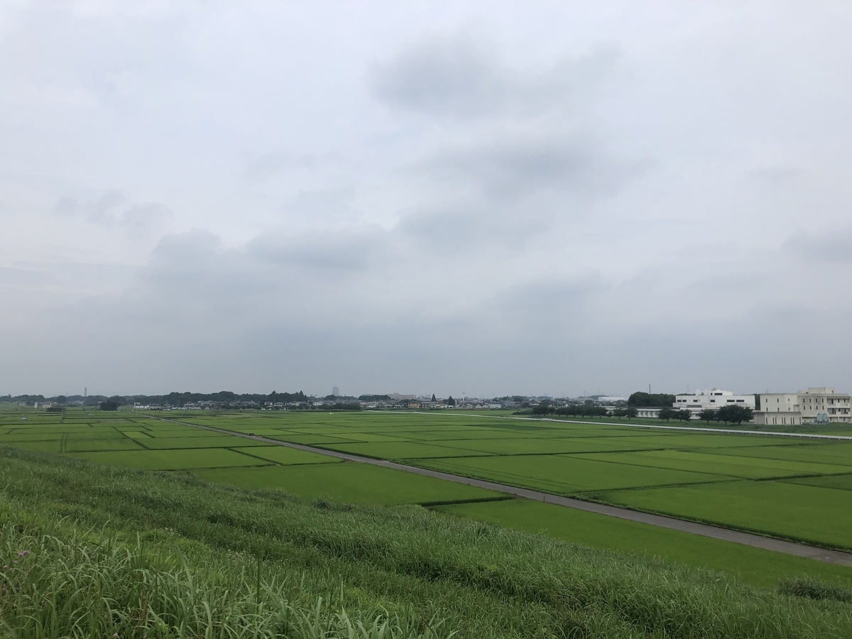 f:id:muscle_keisuke:20190728230053j:plain f:id:muscle_keisuke:20190728230053j:plain