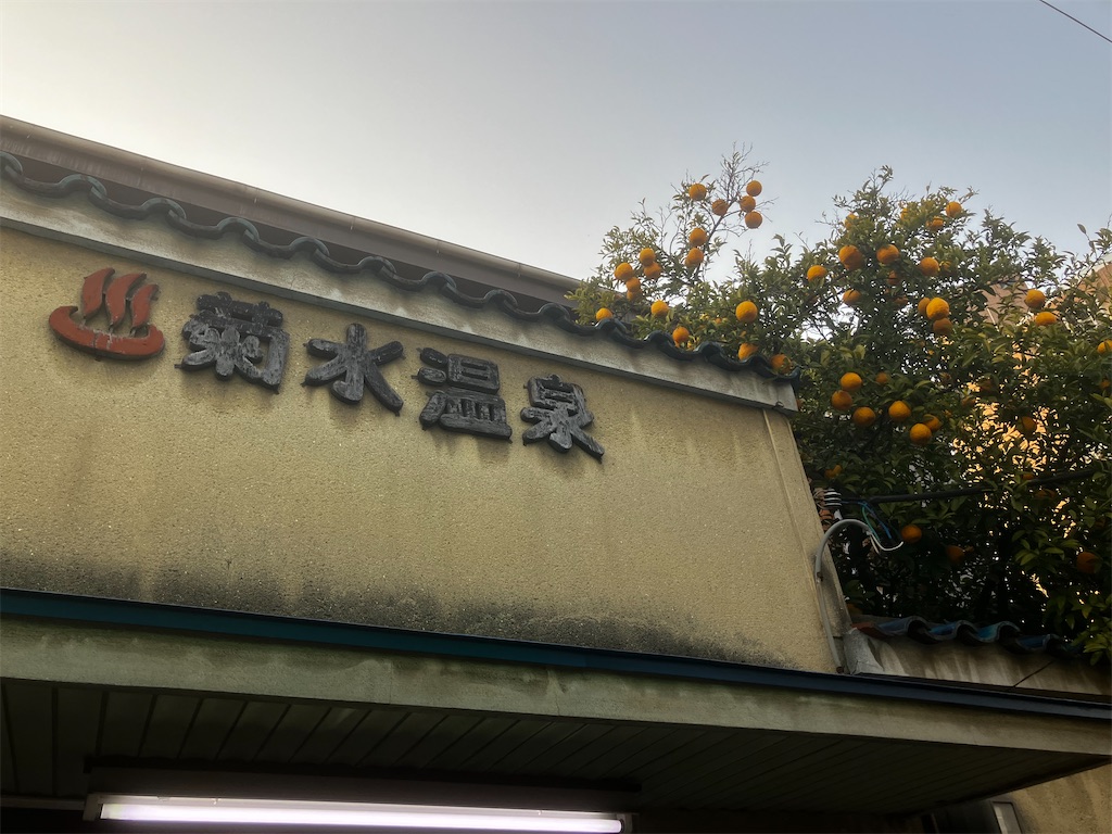 f:id:muscle_nabe:20251218215546j:image