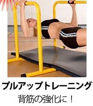 f:id:musclelabo:20170217131616j:plain