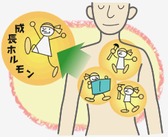 f:id:musclelabo:20170324142241p:plain f:id:musclelabo:20170324142241p:plain