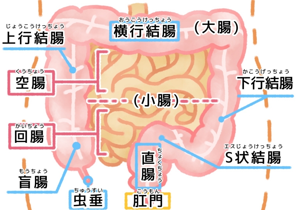 f:id:musclesamuraiK:20171208084506j:plain f:id:musclesamuraiK:20171208084506j:plain