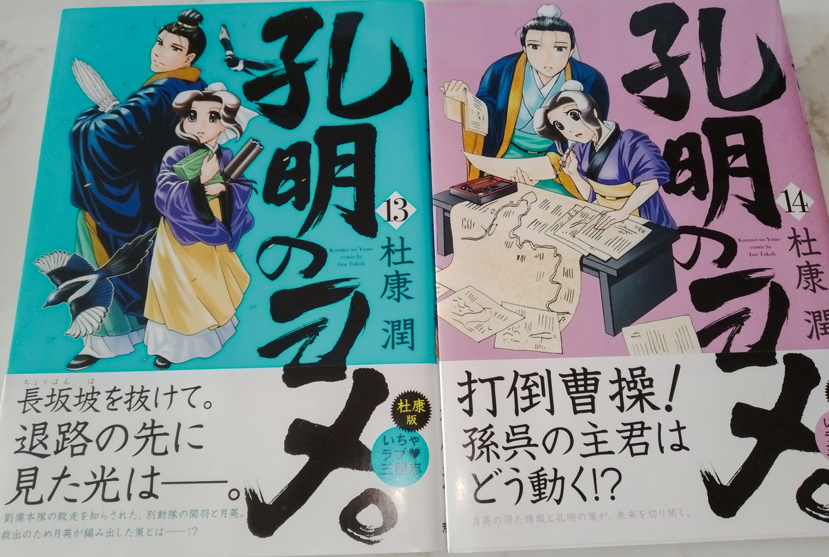 三国志 諸葛孔明 掛け軸 でか