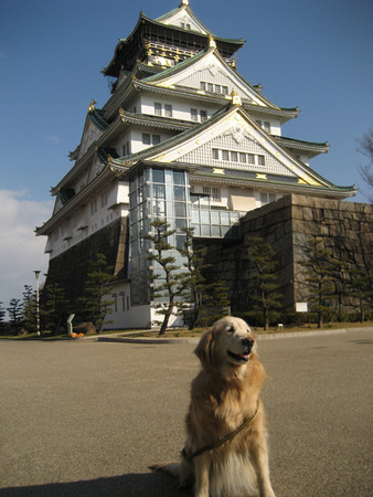 f:id:museion:20070211111457j:image f:id:museion:20070211111457j:image