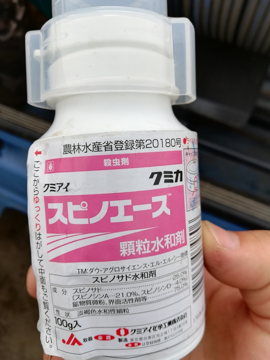 f:id:mushamushagokun:20190527200515j:plain f:id:mushamushagokun:20190527200515j:plain
