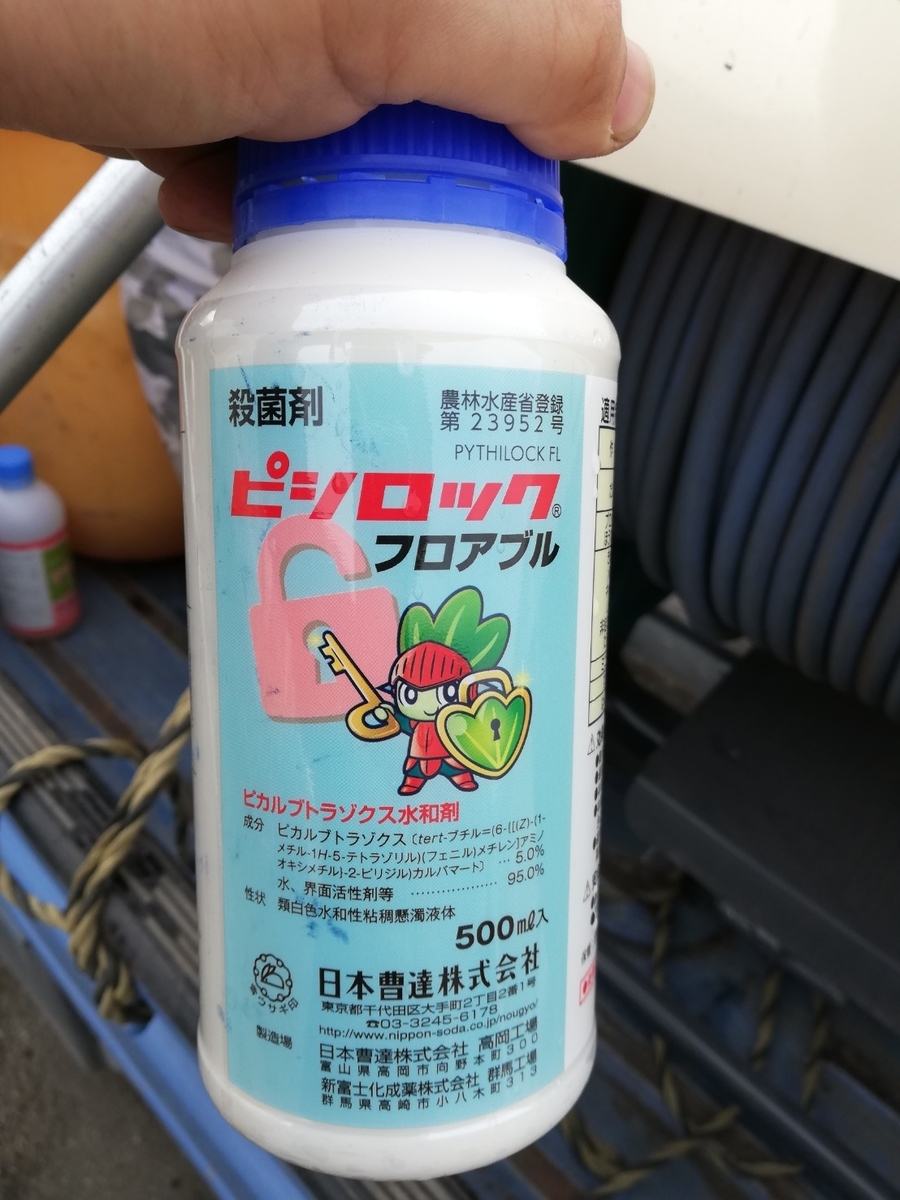 f:id:mushamushagokun:20190531181900j:plain f:id:mushamushagokun:20190531181900j:plain