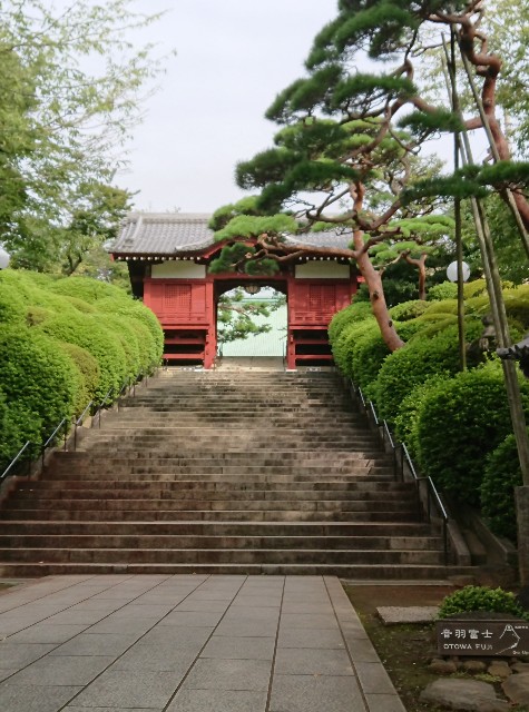 f:id:mushaosho:20200916095130j:image f:id:mushaosho:20200916095130j:image