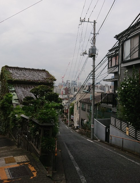 f:id:mushaosho:20200916095623j:image f:id:mushaosho:20200916095623j:image