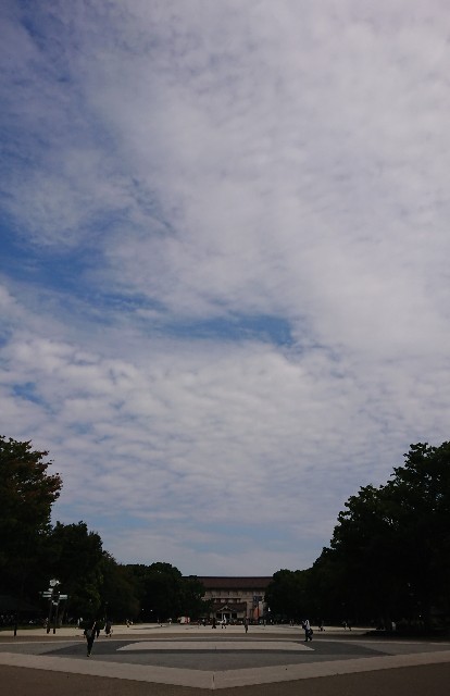f:id:mushaosho:20201006122502j:image f:id:mushaosho:20201006122502j:image