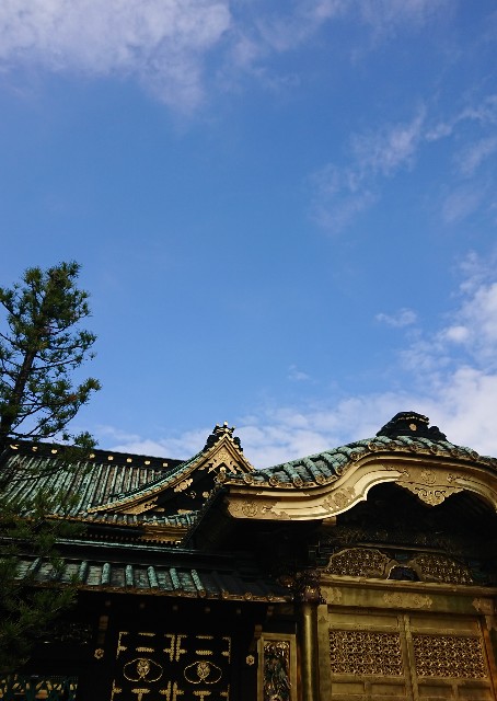 f:id:mushaosho:20201006125649j:image f:id:mushaosho:20201006125649j:image