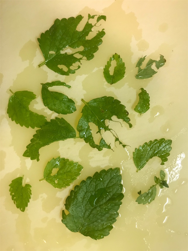 f:id:mushibarai:20200611215024j:image f:id:mushibarai:20200611215024j:image