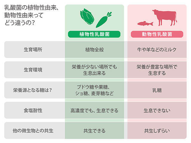 f:id:mushidango:20201225135621j:plain