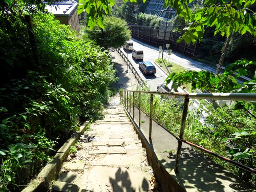 秋の特選虫旅in鎌倉4 廃墟の怪物オオミズアオ 虫撮る人々 秋の特選虫旅in鎌倉4 廃墟の怪物オオミズアオ 虫撮る人々