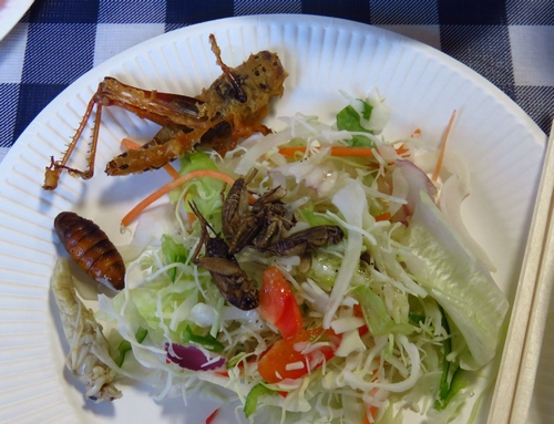 和やかな昆虫試食会・タガメはラフランスの香り - 虫撮る人々