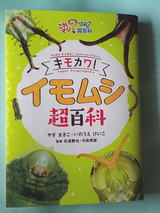 葛西で崩れ去ったビロードの夢とイモムシ超百科 - 虫撮る人々
